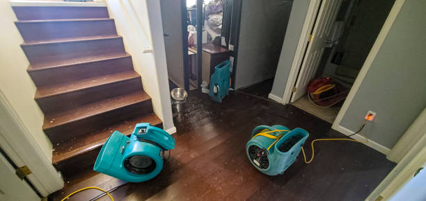 Best Local water damage restoration  in Raleigh Hills, OR