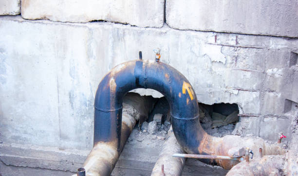 Best Water damage cleanup near me  in Raleigh Hills, OR