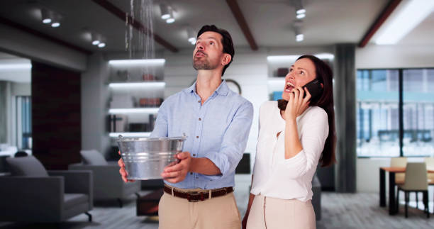 Best Professional water damage repair  in Raleigh Hills, OR